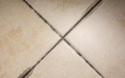 7 Ways to Prevent Mold Growth on Your Houston Grout and Tile